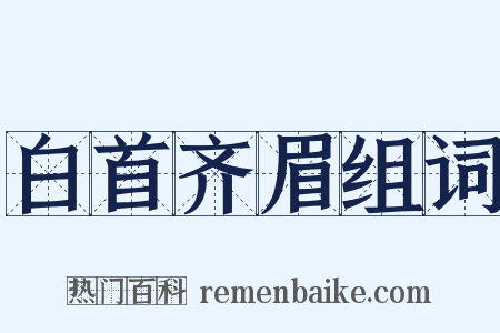 白首齐眉组词是什么意思的图片